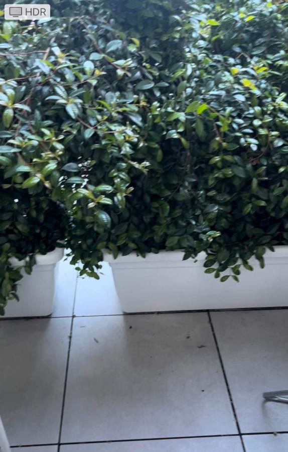 شقة كالياري  في Loft Mono 3 المظهر الخارجي الصورة